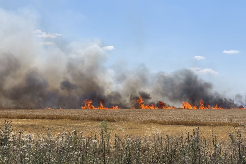 Incendiu de vegetaţie uscată izbucnit în apropiere de A1, în Dâmboviţa