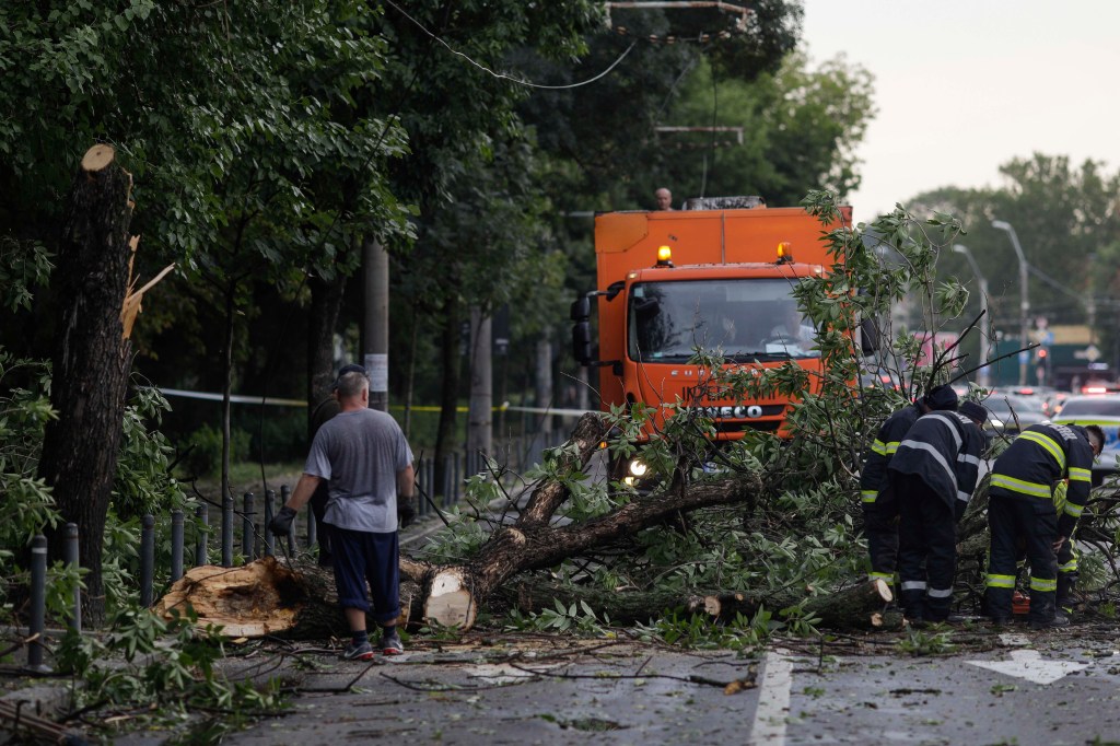 Copaci doborati de furtună, București / FOTO Inquam Photos / Octav Ganea