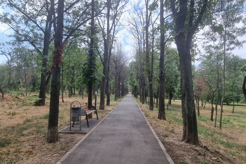 Parcul Verdi. Foto: Catiușa Ivanov / HotNews.ro.