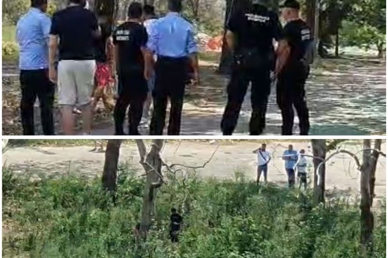 Activiștii veniți în zona retrocedată din Parcul IOR să verifice dacă se taie copaci, amenințați de un bărbat în fața polițiștilor locali: „Am câțiva pe țeavă și trebuie să-i bat”