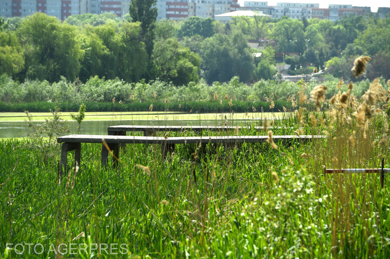 Lacul Tei / Foto Agerpres