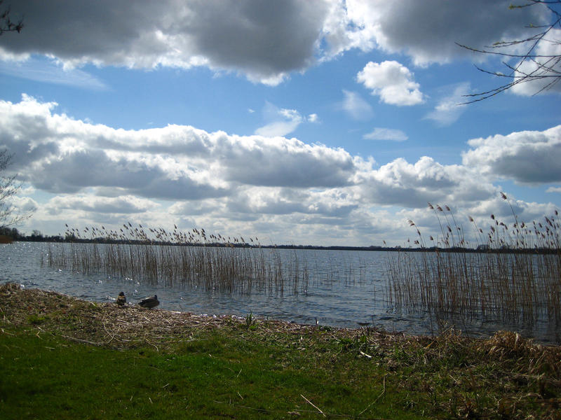 Primavara in Olanda, Foto: USER UPLOADED