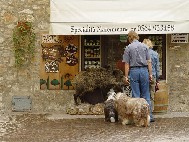 specialitati in Toscana, Foto: USER UPLOADED