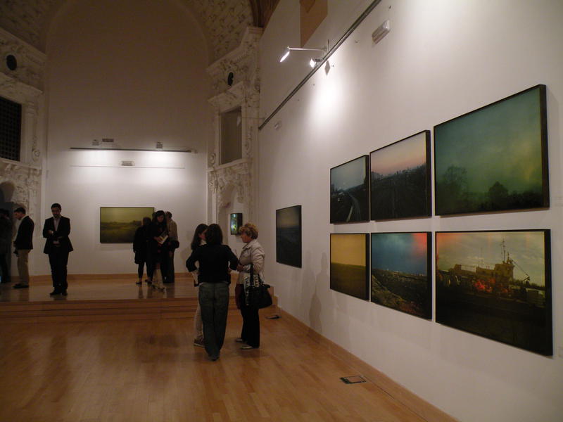 expozitie Nicu Ilfoveanu, Foto: ICR