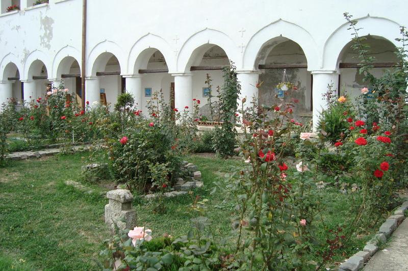 manastirea comana, Foto: USER UPLOADED