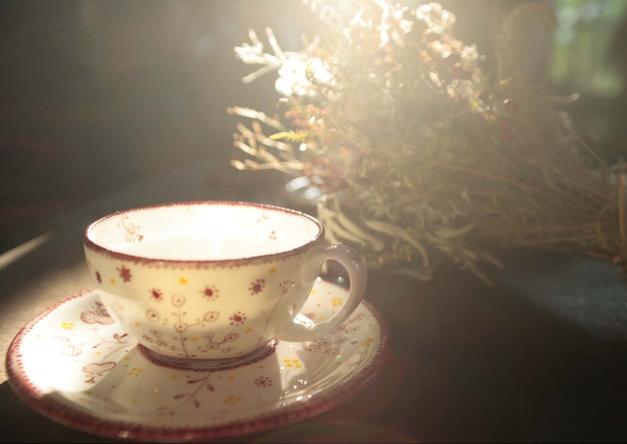 Expozitia Cesti cu plante pe deal, de Stefan Caltia, Foto: Wagner Arte