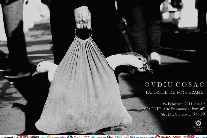 Expozitie Ovidiu Cosac, Foto: Wagner Arte