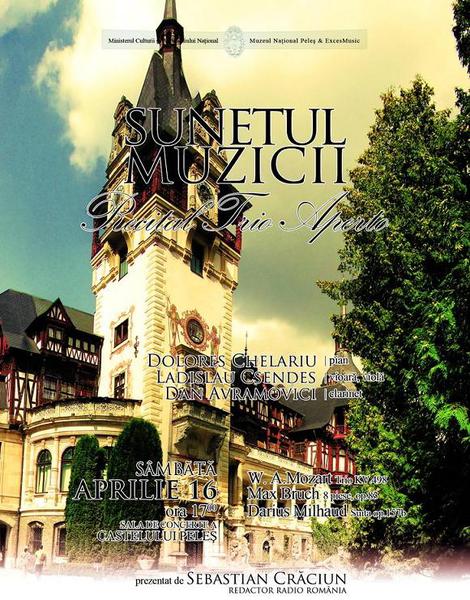 Stagiunea "Sunetul muzicii", Foto: Muzeul National Peles