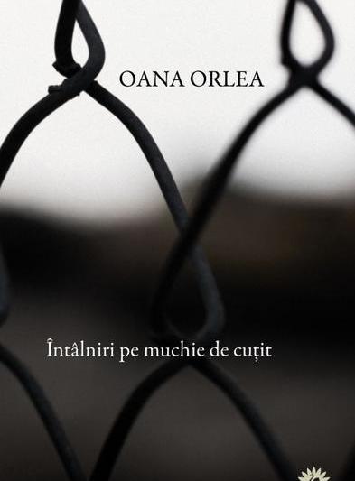 Intalniri pe muchie de cutit, de Oana Orlea , Foto: Editura Leda