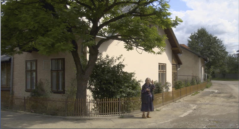 „Gutuiul japonez”, Foto: Aristoteles Workshop