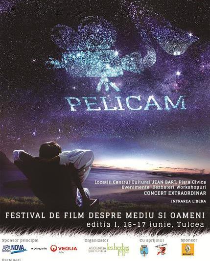 Pelicam IFF - prima editie, Foto: Afis festival