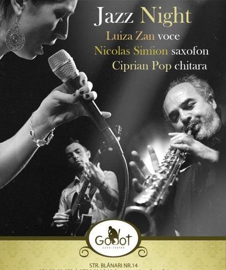 Concert Luiza Zan, Foto: Godot Cafe Teatru