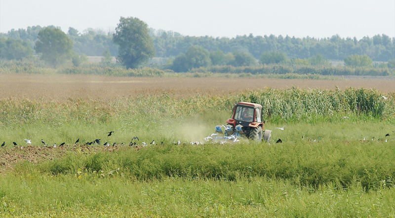 Agricultura in Romania, Foto: USER UPLOADED