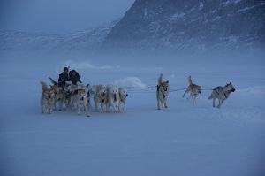 Silent snow, Foto: Astra Film