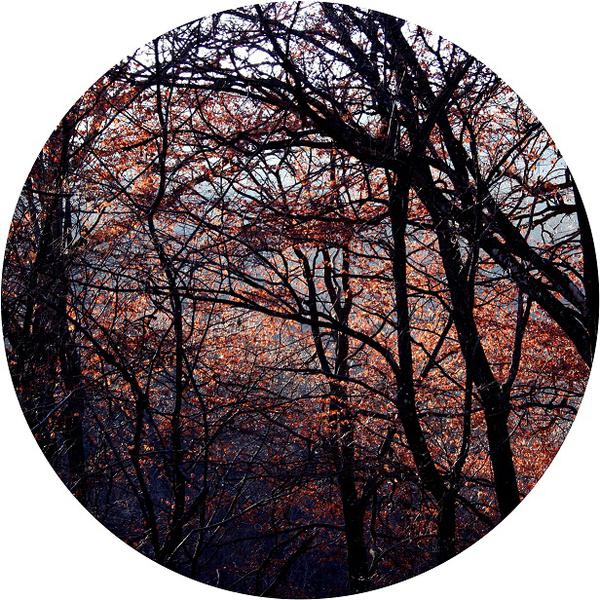 Fotografie de Irina Dumitrascu, Foto: ICR