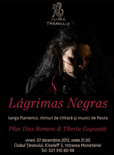 Lagrimas Negras - Tango flamenco, Foto: www.arteflamenco.ro