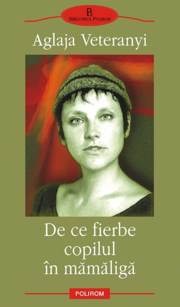 De ce fierbe copilul in mamaliga, de Aglaja Veteranyi, Foto: Polirom