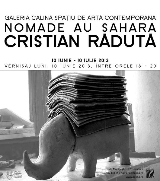 Expozitie Cristian Raduta, Foto: Afis