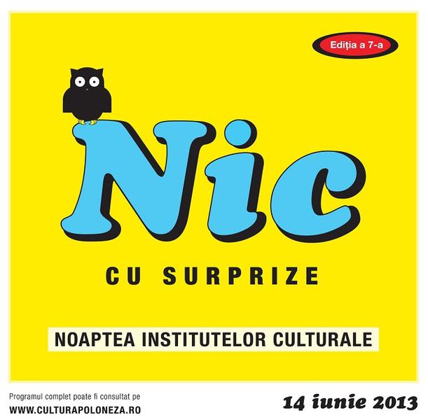 Noaptea Institutelor Culturale, Foto: Afis