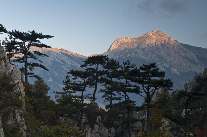 Cheile Tasnei - Parcul national Domogled - Valea Cernei, Foto: Dan Dinu - WWF