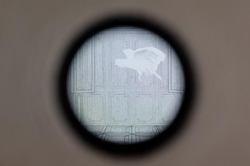 Adi Matei_Bird in a Room (Medium), Foto: Hotnews