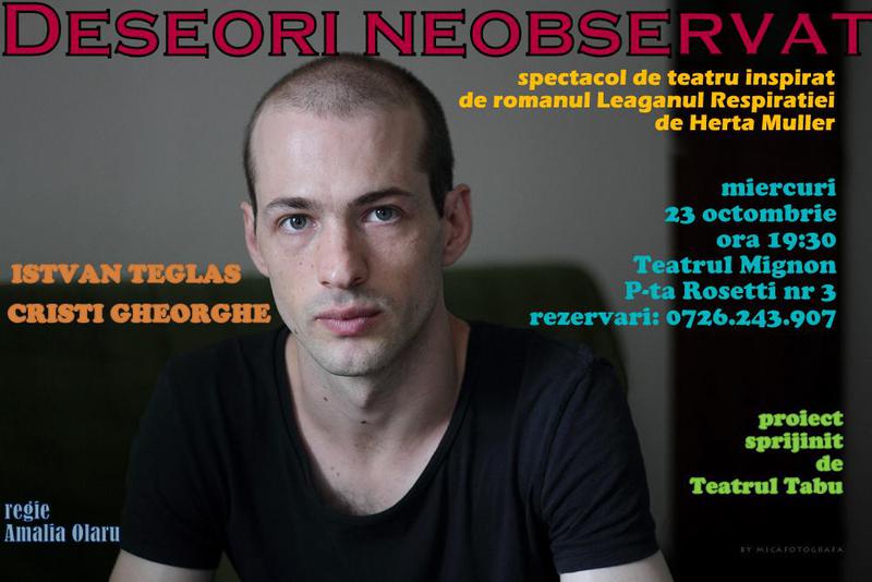 Istvan Teglas in Deseori neobservat, Foto: Ana Maria Moldovan