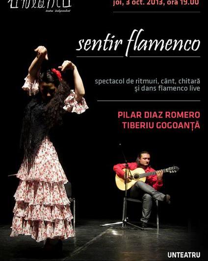 Concert de flamenco, Foto: Afis