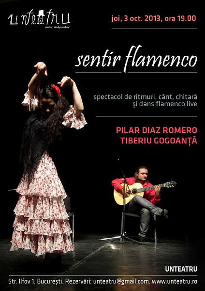 Concert de flamenco, Foto: Afis