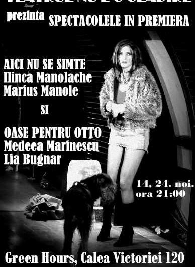 "Aici nu se simte" si "Oase pentru Otto", Foto: Teatrul nu e o cladire