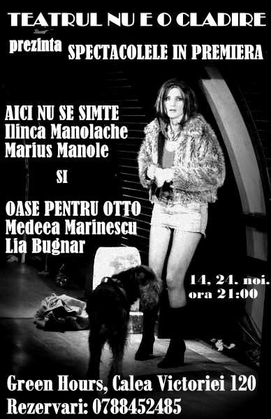 "Aici nu se simte" si "Oase pentru Otto", Foto: Teatrul nu e o cladire