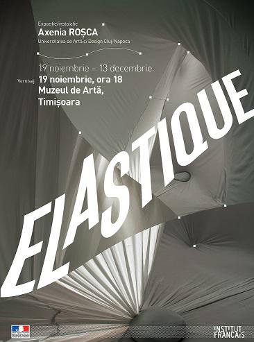 Expozitia 'Elastique', Foto: Afis