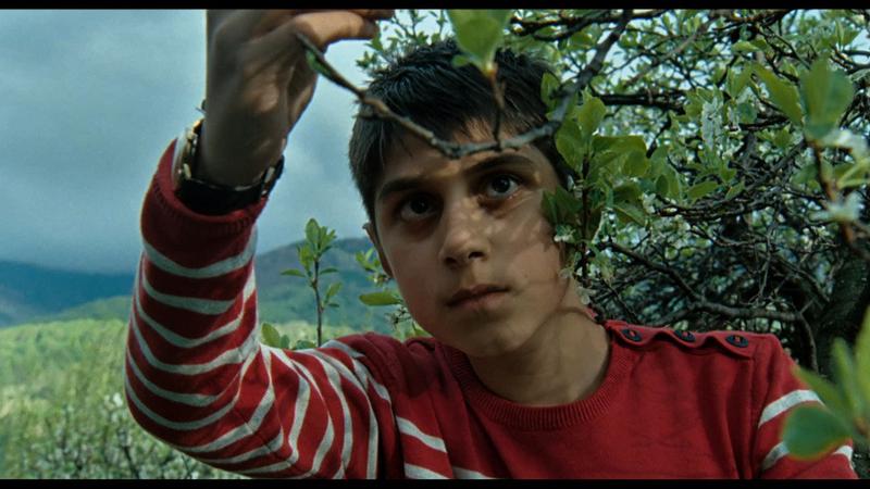 "Matei Copil Miner", regia Alexandra Gulea , Foto: Europolis Film