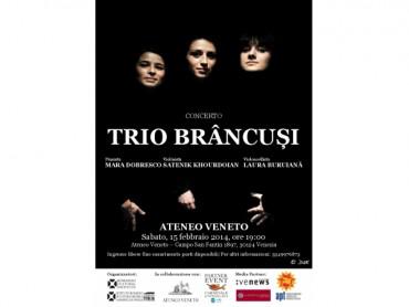 "Trio Brancusi" , Foto: Afis concert