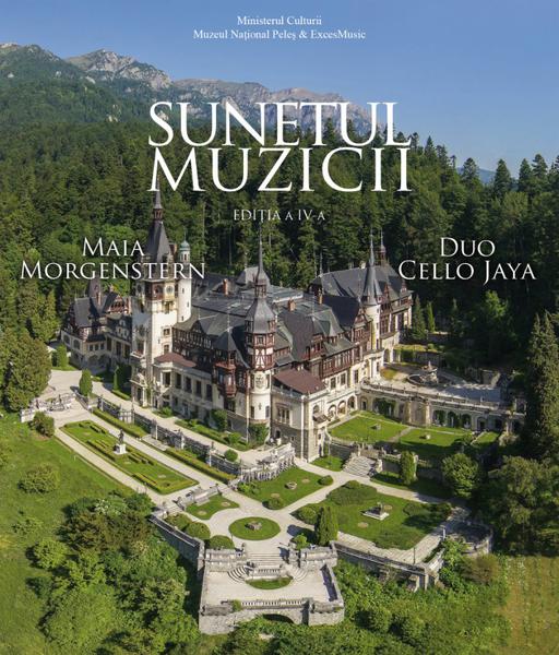 Stagiunea 'Sunetul muzicii', Foto: Afis