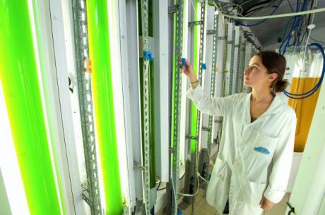 Laborator productie biocombustibili, Foto: Comisia Europeana