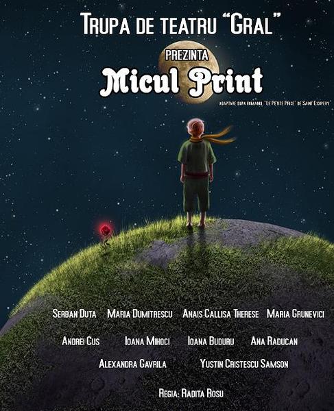 Spectacolul 'Micul Print', Foto: Afis