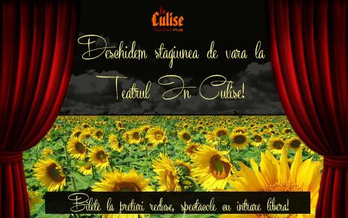 Stagiunea de vara In Culise, Foto: Teatrul In Culise