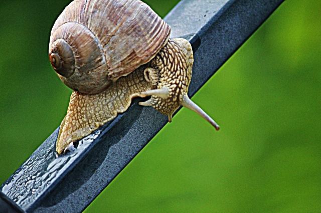 melc.melc.., Foto: USER UPLOADED