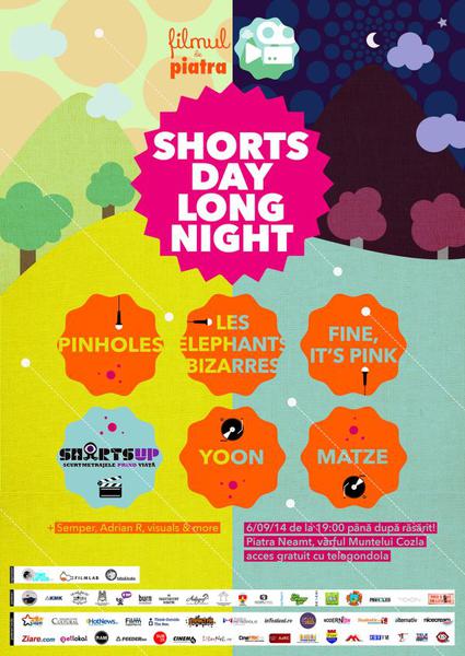 Afis Filmul de piatra, Foto: Filmul de Piatra