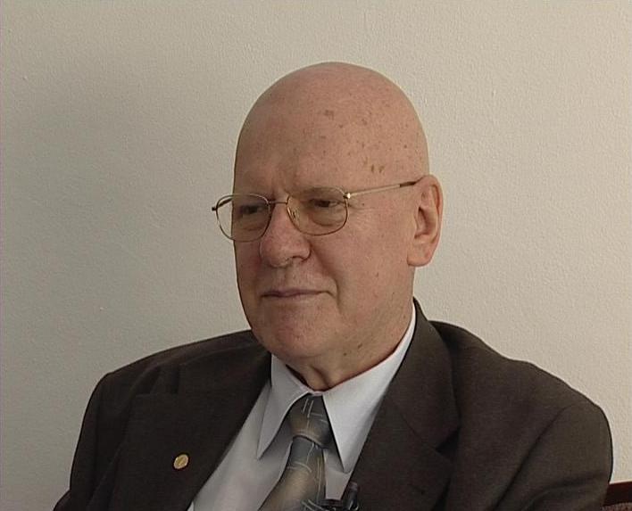 Razvan Theodorescu, Foto: TNB