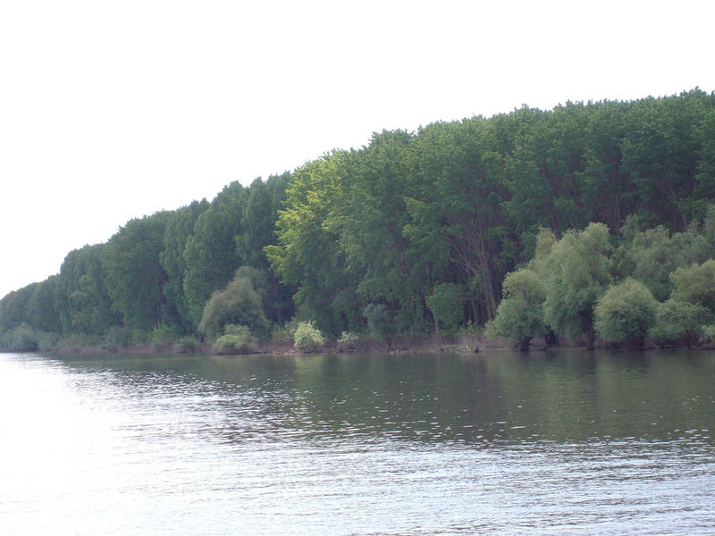 Dunarea, Foto: USER UPLOADED