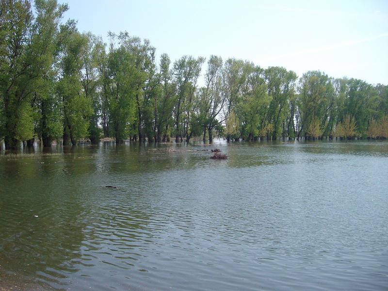 Dunarea, Foto: USER UPLOADED