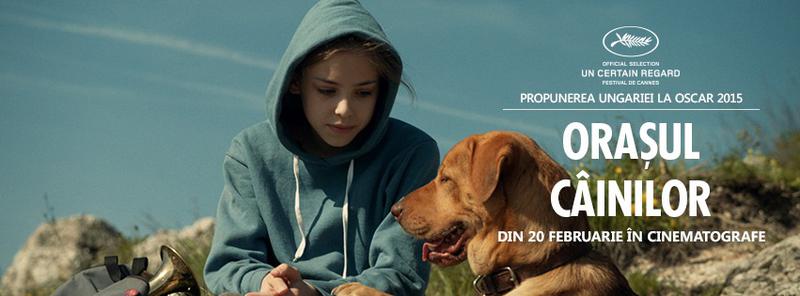 Orasul Cainilor, Foto: Parada Film