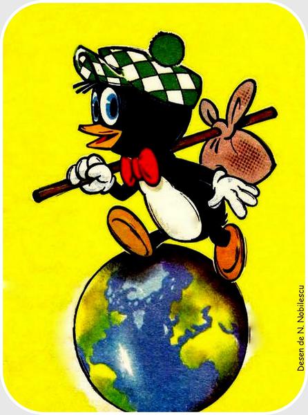 Apolodor, un pinguin calator, Foto: TNB