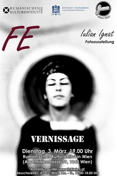 Fe - Expozitie Iulian Ignat , Foto: ICR Viena