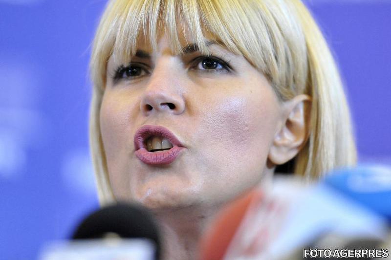 Elena Udrea, Foto: Agerpres