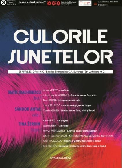 Culorile sunetelor, Foto: Afis