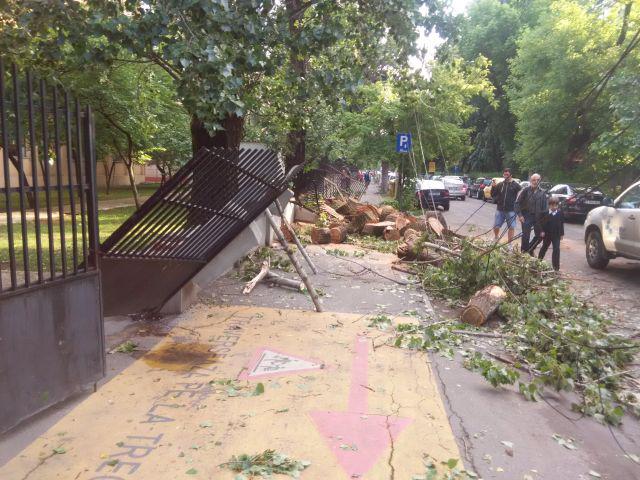 Poarta Scolii nr. 156, rupta de un copac cazut, Foto: Hotnews