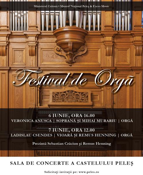 Festival de orga, Foto: Asociatia Pro Valores