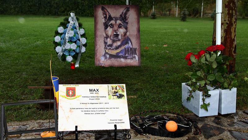 Mormantul cainelui Max, mort in 2015, Foto: Facebook / Fortele Terestre Romane